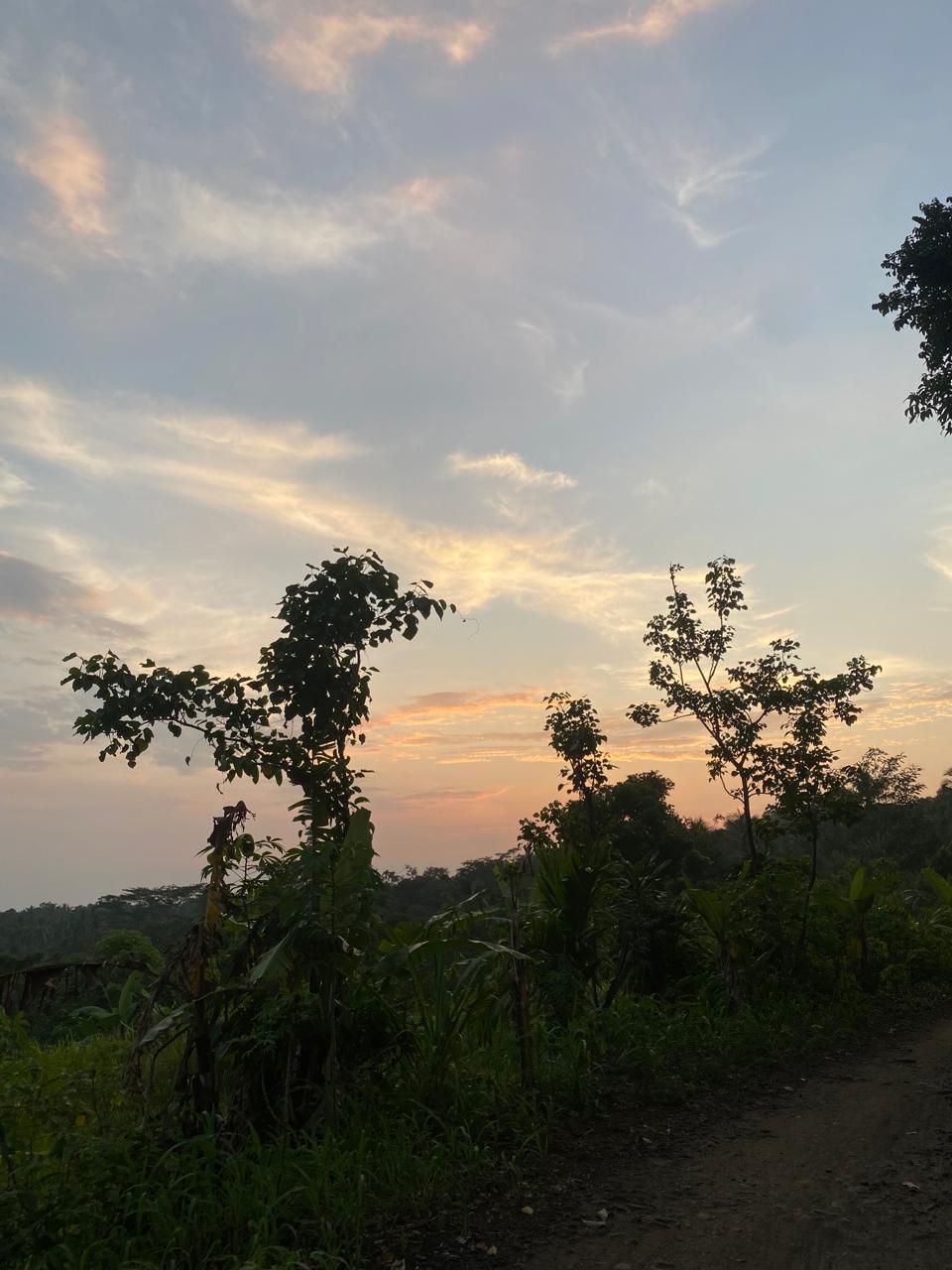 Suasana Alam Desa Wanagiri